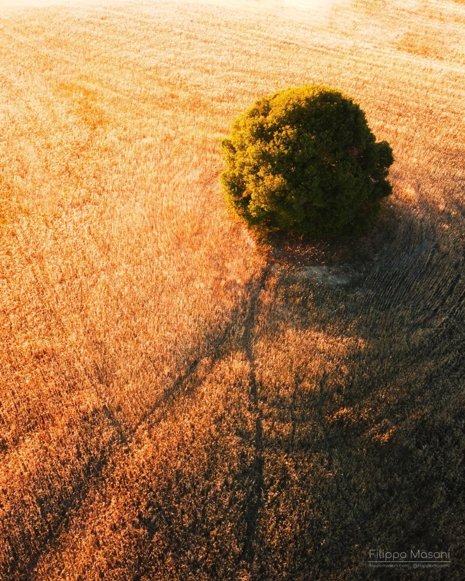 Вилла Fattoria Pieve A Salti Буонконвенто Экстерьер фото